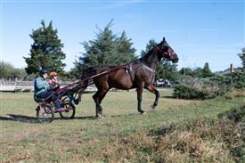 LR-WRF 10182025 Retreat-6421